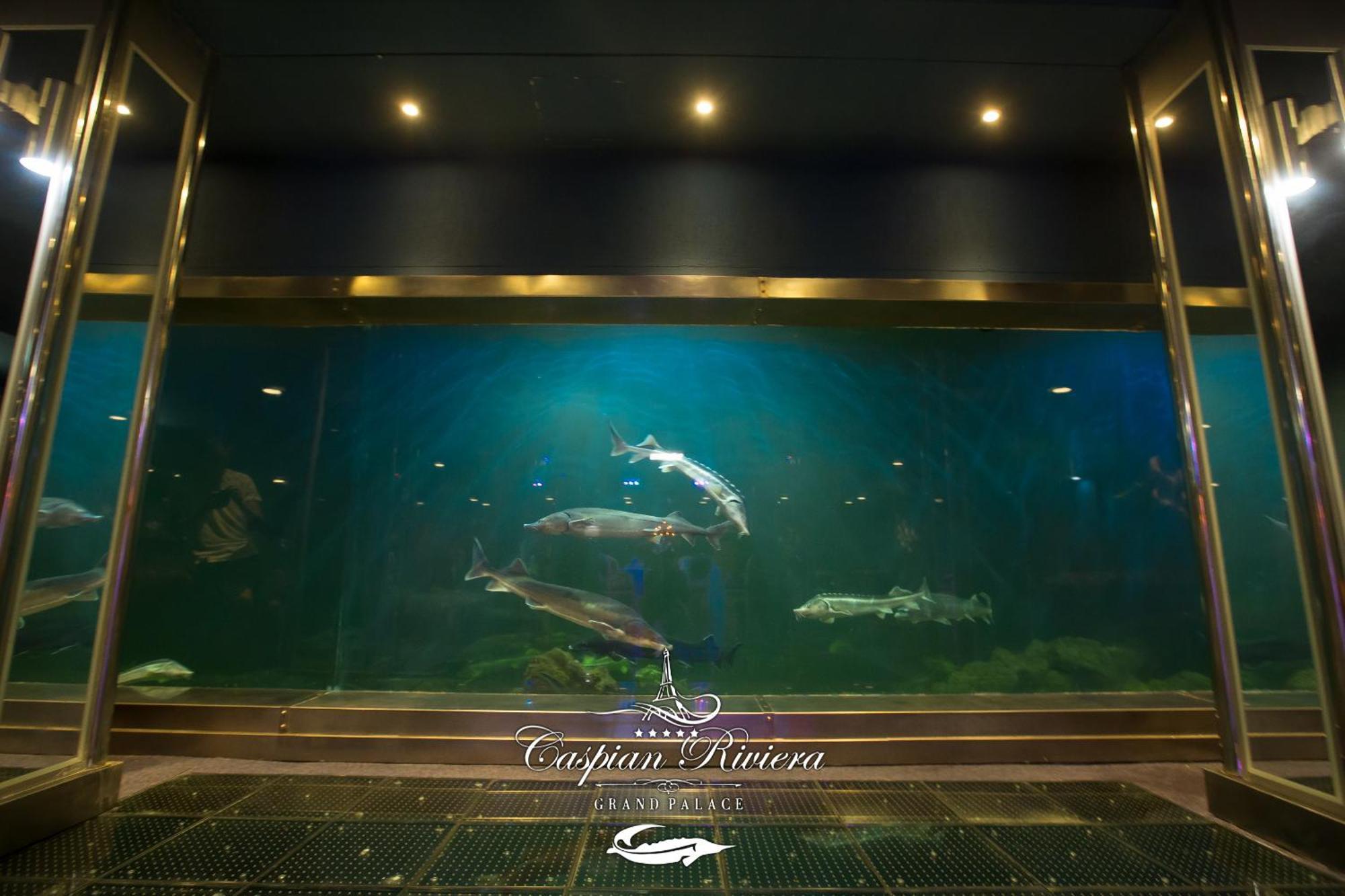 Отель Caspian Riviera Grand Palace Актау Экстерьер фото Dolphins at the aquarium
